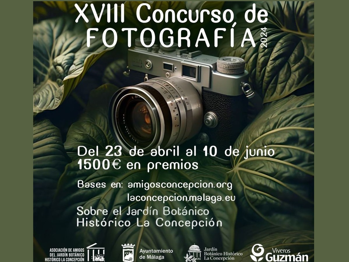 Cartel Concurso fotos