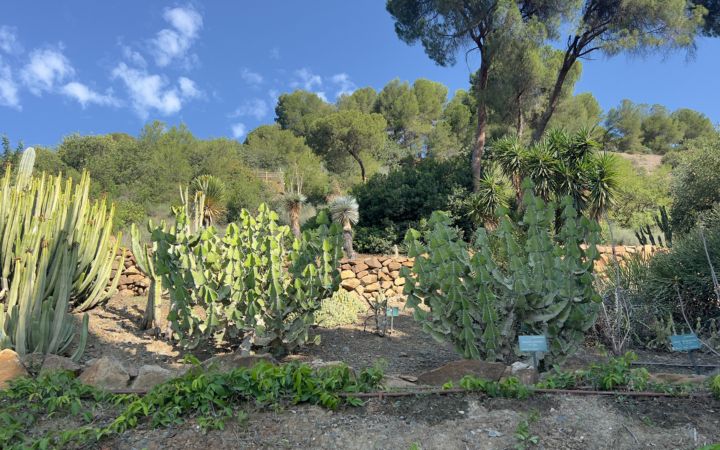 Detalle del jardín