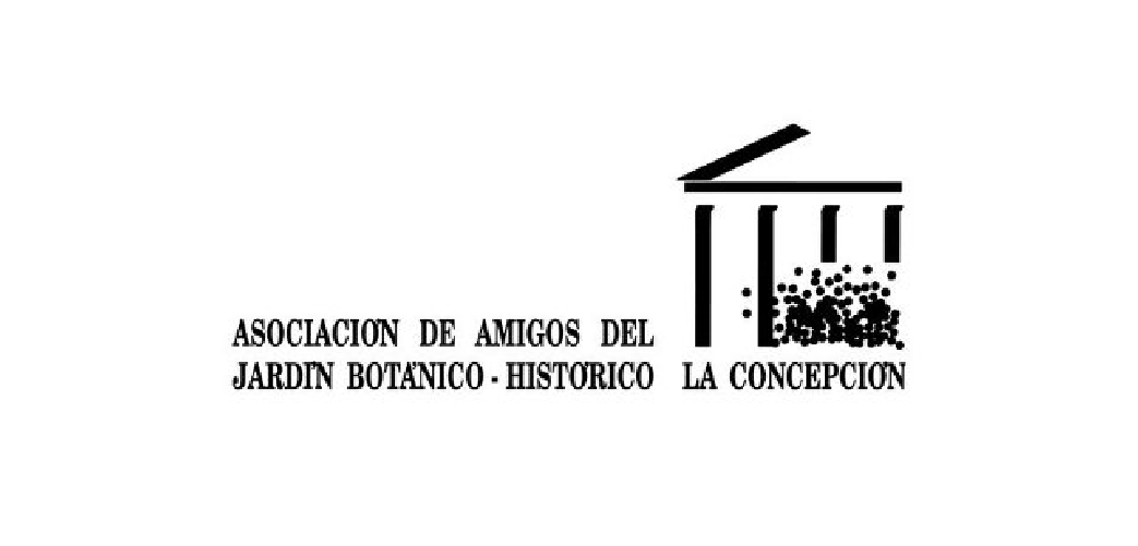 logo amigos